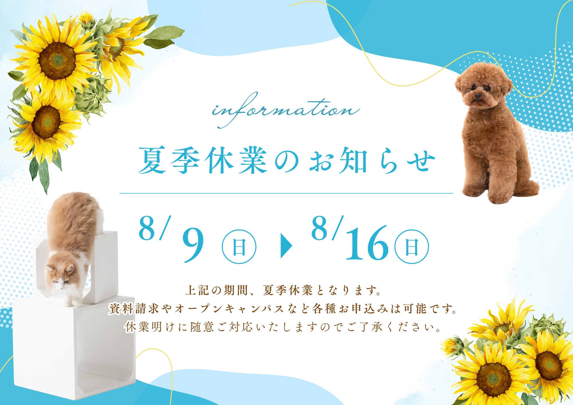 夏季休業期間のお知らせ